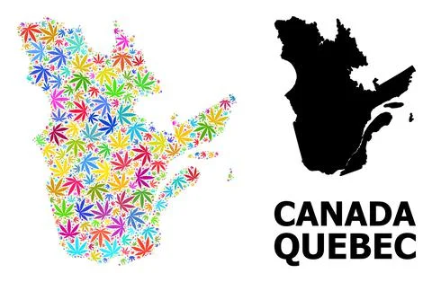 Vector Mosaic Map of Quebec Province of Psychedelic Hemp Leaves and Solid Map Stock Illustration