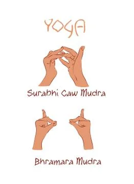 Vector mudras hands color isolated line fingers Stock Illustration