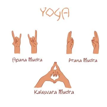 Vector mudras hands color isolated line fingers Stock Illustration