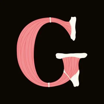 Vector muscle letter.Art font. Illustrazione stock