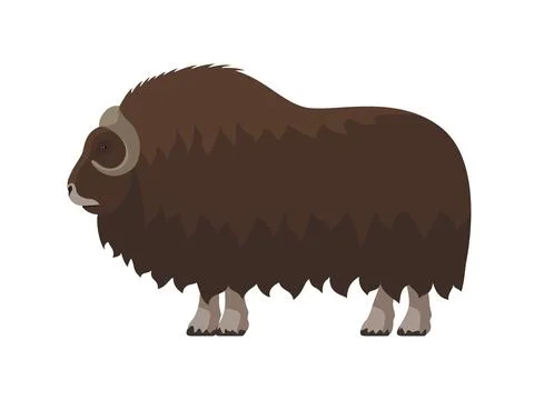 Vector muskox with thick fur Illustrazione stock