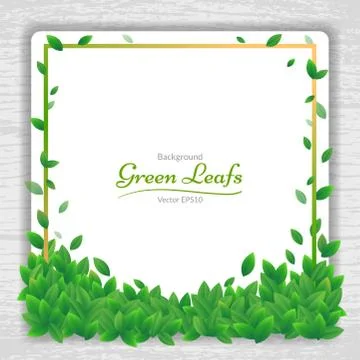 Vector nature background banner with green leaf frame Stock Illustration