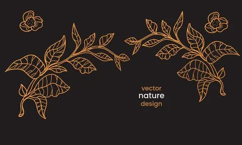 Vector Nature Set - Gold Line Art Design of Tea Tree and Bush isolated on b.. Stock Illustration