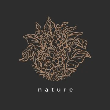 Vector nature symbol in circle Coffee branch with realistic leaf, flower, bea Stock Illustration
