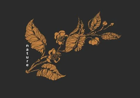 Vector nature template. Botanical tea branch. Realistic vintage leaves, flowe Stock Illustration
