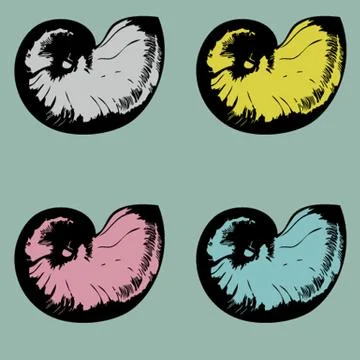 Vector nautilus Illustrazione stock