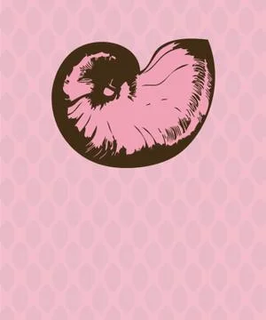 Vector nautilus Stock Illustration