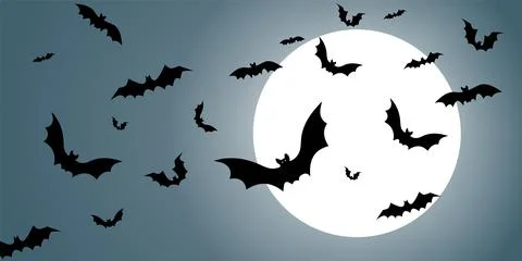 Vector. Night, full moon and bats, horizontal banner, background. Stock Illustration
