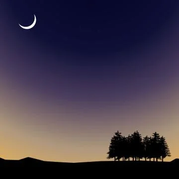 Vector Night time sky, nature landscape with moon and trees Stock Illustration