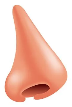 Vector nose in gradient style Stock Illustration