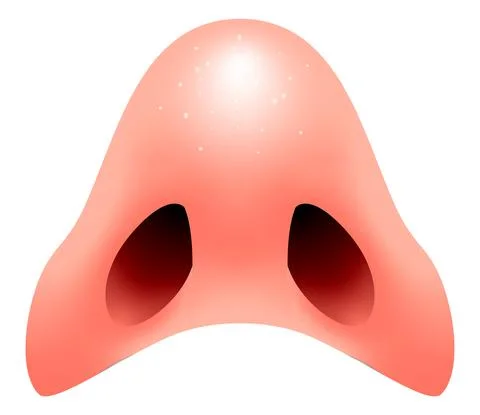 Vector nose in gradient style Stock Illustration