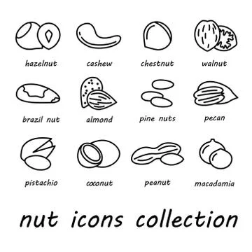 Vector nut icons collection Stock Illustration