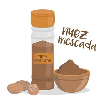 Vector nutmeg illustration isolated in cartoon style. Spanish name. Herbs a.. Stock Illustration