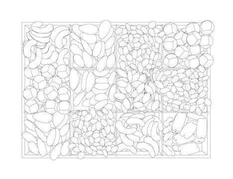Vector nuts set contour. Vector background of dry nuts and seeds - almond, Stock Illustration