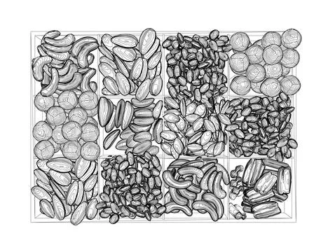 Vector nuts set contour. Vector background of dry nuts and seeds - almond, Stock Illustration