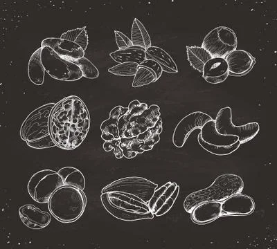 Vector nuts set Stock Illustration