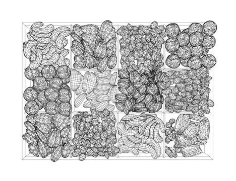 Vector nuts set wireframe. Vector background of dry nuts and seeds - almond, Stock Illustration