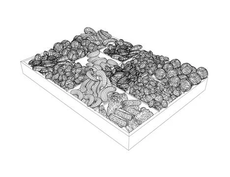 Vector nuts set wireframe. Vector background of dry nuts and seeds - almond, Stock Illustration