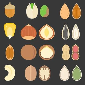 Vector nutshell and seeds icons set, flat design Stock Illustration