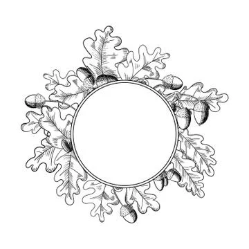 Vector oak leaf and acorn drawing frame. Autumn elements. Illustrazione stock