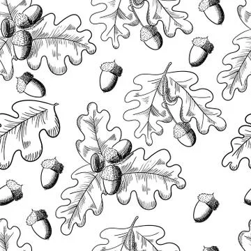 Vector oak leaf and acorn drawing seamless pattern. Autumn elements. Illustrazione stock