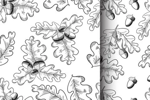 Vector oak leaf and acorn drawing seamless pattern set. Autumn elements. Illustrazione stock