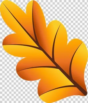 Vector oak leaf is floating on transparent background, showing yellow-orange Illustrazione stock