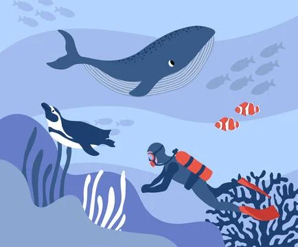 Vector ocean illustration with diver, penguin, clown fish, algae, corals Stock Illustration