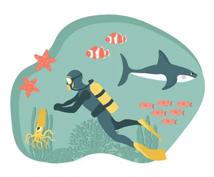 Vector ocean illustration with diver, shark, clown fish, starfish, squid, algae Stock-Illustration