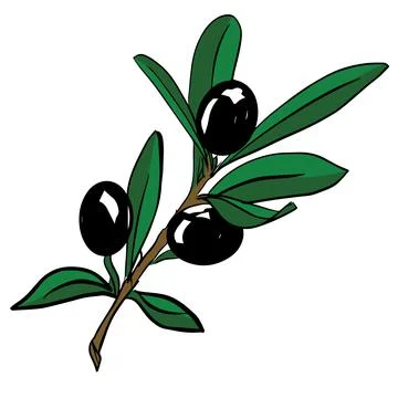 Vector olive branch isolated logo, icon, illustration Illustrazione stock