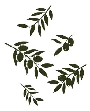 Vector olive branches Stock-Illustration