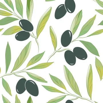 Vector olive oil. Decorative olive branch.Olive pattern. Stock Illustration