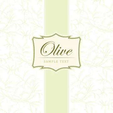 Vector olive oil. Decorative olive branch.Olive pattern. Stock Illustration