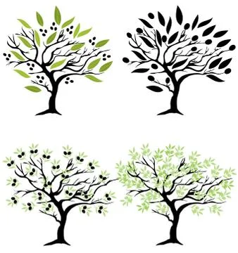 Vector Olive Trees Illustrazione stock