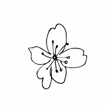 Vector one sakura. Black spring illustration flowers line art Stock Illustration