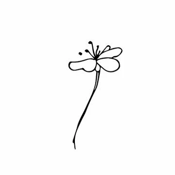 Vector one sakura. Black spring illustration flowers line art Stock Illustration