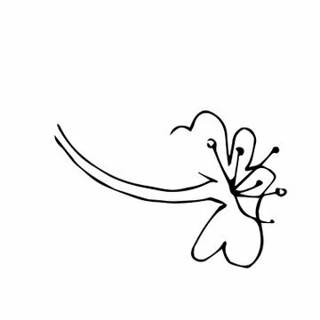 Vector one sakura. Black spring illustration flowers line art Stock Illustration