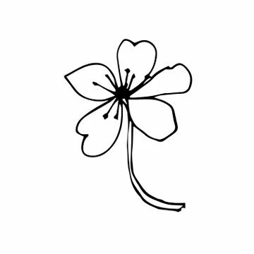 Vector one sakura. Black spring illustration flowers line art Stock Illustration