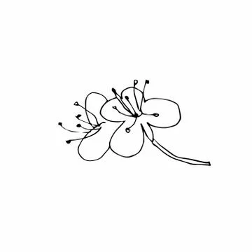 Vector one sakura. Black spring illustration flowers line art Stock Illustration
