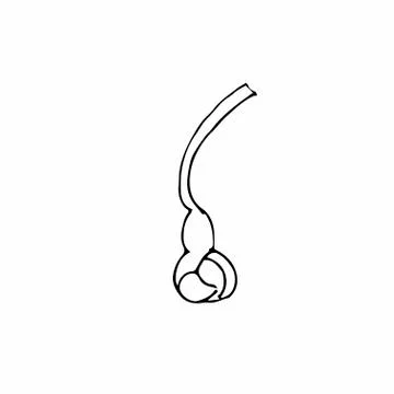 Vector one sakura. Black spring illustration flowers line art Stock Illustration