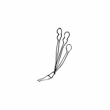 Vector one sakura. Black spring illustration flowers line art Stock Illustration