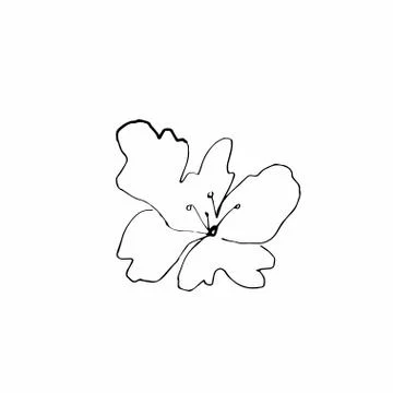 Vector one sakura. Black spring illustration flowers line art Stock Illustration