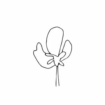 Vector one sakura. Black spring illustration flowers line art Stock Illustration