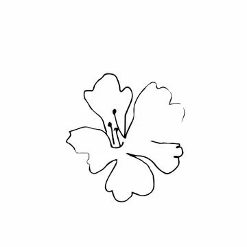 Vector one sakura. Black spring illustration flowers line art Stock Illustration