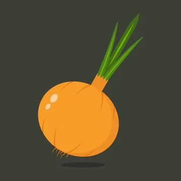 Vector onion on background vector. Stock Illustration