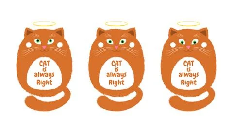 Vector Orange Cat in Cartoon Style with Inscription Cat is Always Right Stock Illustration
