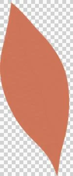 Vector orange-red leaf is floating on transparent backdrop showing central vein Stock Illustration