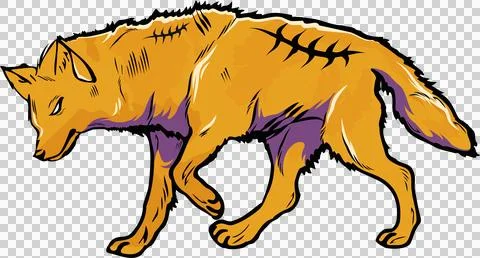 Vector orange wolf is walking right on transparent background showing purple Stock Illustration