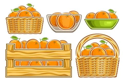 Vector Oranges Set Stock Illustration