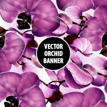 Vector orchid banner Stock Illustration
